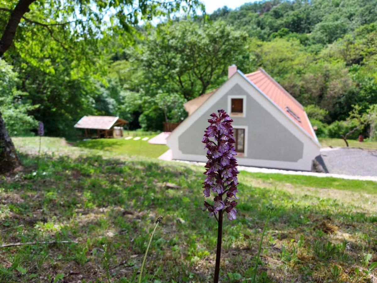 Appartement Kosbor Monoszlo