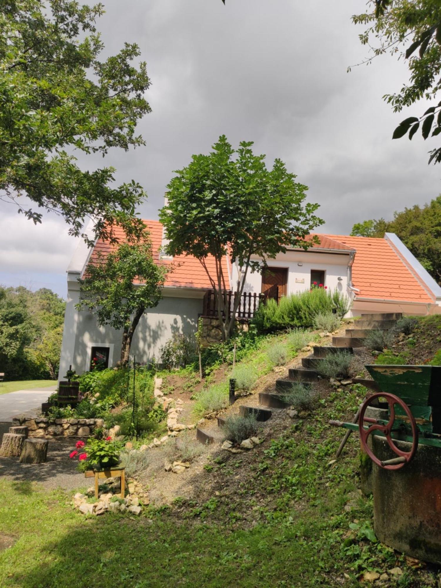 Kosbor Vendeghaz