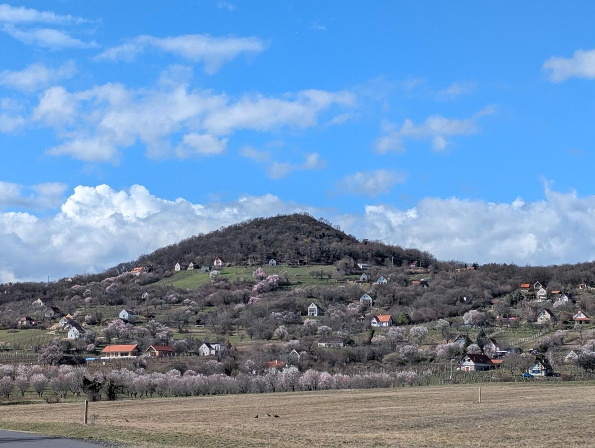Appartement Kosbor